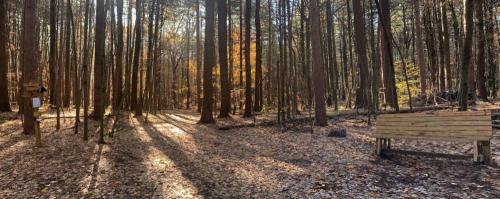 Kinns Road Park