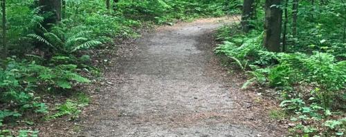 Hayes Nature Park
