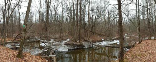 Dwaas Kill Nature Preserve