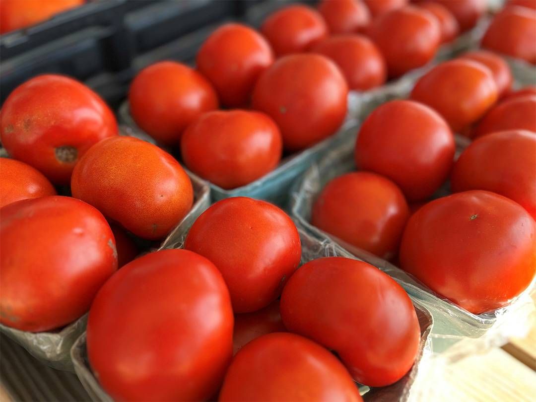 Fresh-picked corn, A horse and foal near wooden fence, Nectarines and peaches in baskets at Bowman Orchards, Fresh tomatoes at Bowman Orchards, Apples growing on apple tree branch, Cows on Maple Hill Farm